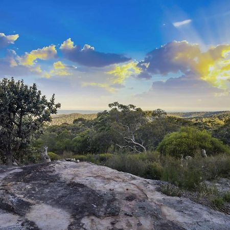 Вілла Sydney View Woodford Екстер'єр фото